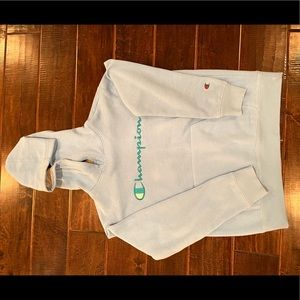 Champion Men hoodie